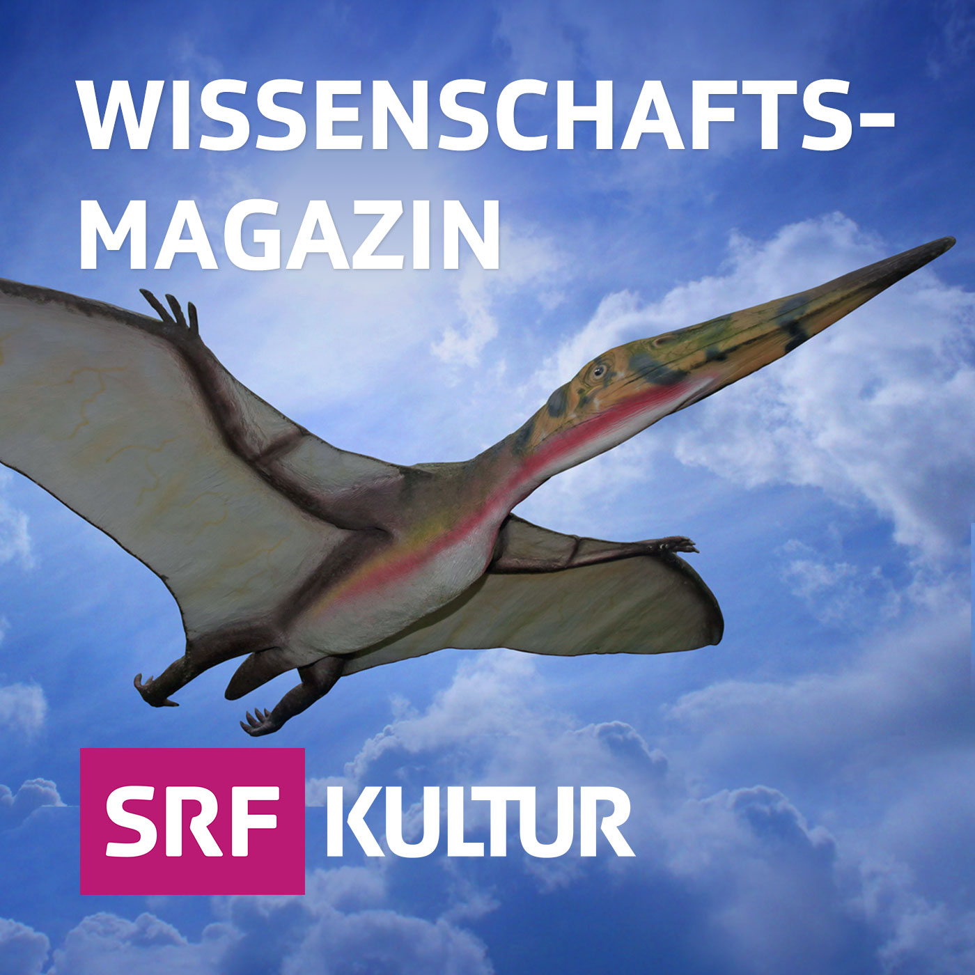 SRF Wissenschaftsmagazin